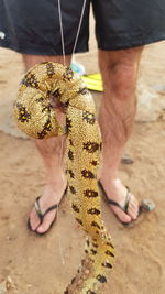 Low section of man holding food