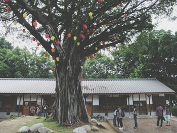 People walking on tree trunk