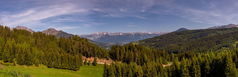 Panoramic shot of trees on landscape against sky