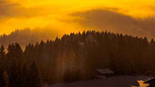 Panoramic view of trees on landscape against sky during sunset