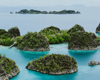 High angle view of trees by sea against sky