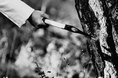 Close-up of hand holding cigarette against tree trunk