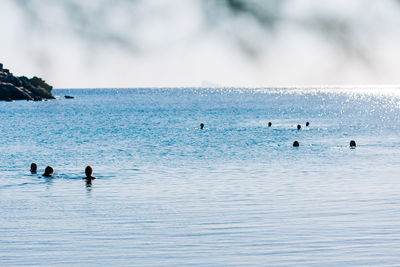 People swimming in sea against sky