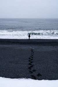 Rear view of man walking on beach