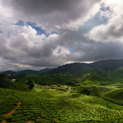 Scenic view of agricultural field against cloudy sky