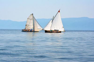 Sailboat sailing on sea against clear sky