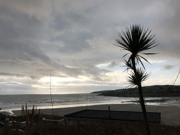 Silhouette palm trees on beach against sky