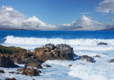 Scenic view of sea against blue sky