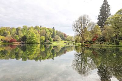 Reflection of trees in lake