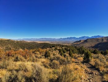 Scenic view of landscape against clear blue sky