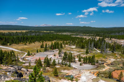 High angle view of trees on landscape against sky