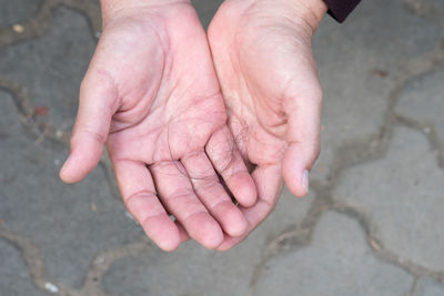 High angle view of person holding hands