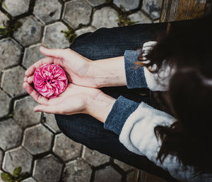 High angle view of woman holding pink flower