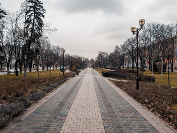 Street amidst trees and plants in city against sky