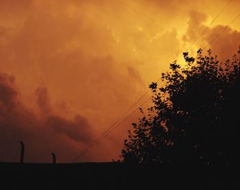 Silhouette of trees at sunset