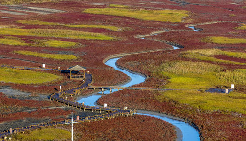 High angle view of agricultural field