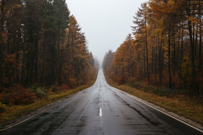 Road amidst trees in forest