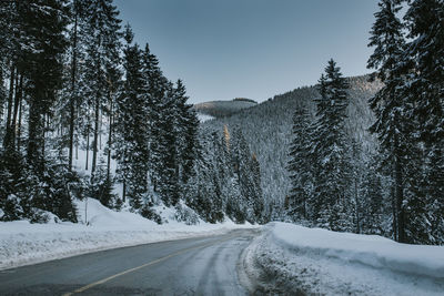 Road amidst snow covered trees against sky