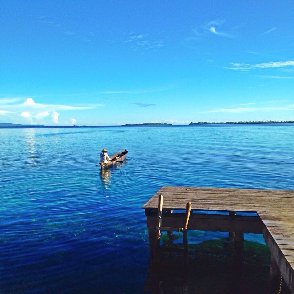 water, animal themes, blue, one animal, sky, sea, nautical vessel, nature, tranquility, boat, wildlife, bird, tranquil scene, transportation, animals in the wild, beauty in nature, scenics, horizon over water, pets, cloud