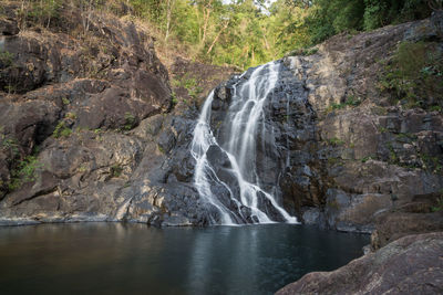 Scenic view of waterfall in forest