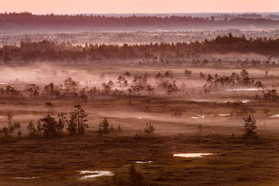 Scenic view of landscape against sky