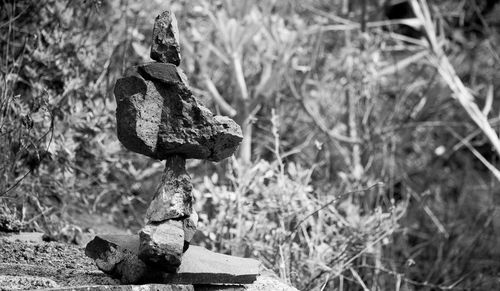 Stacked stones against plants