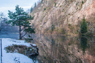 Scenic view of lake in forest during winter