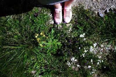 Low section of woman standing on flowering plants