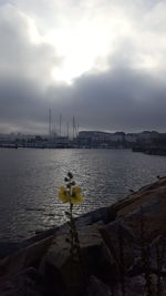 Scenic view of sea against cloudy sky