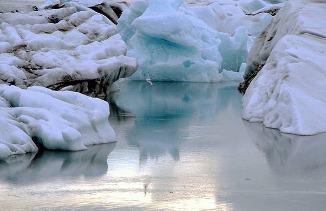 water, waterfront, cold temperature, winter, ice, tranquility, snow, beauty in nature, nature, lake, frozen, white color, tranquil scene, reflection, glacier, season, day, scenics, rippled, rock - object