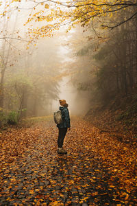 Rear view of woman standing on road covered with autumn leaves , on a foggy day.