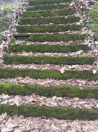 High angle view of staircase