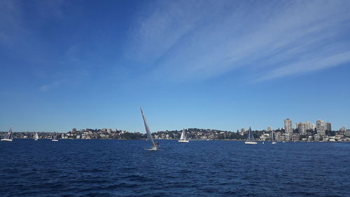 Sailboats in sea by buildings against blue sky