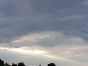 Low angle view of trees against sky during sunset