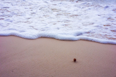 High angle view of surf on beach