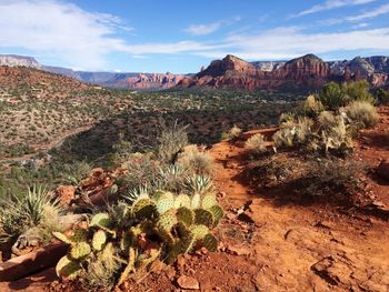 Scenic view of landscape against sky