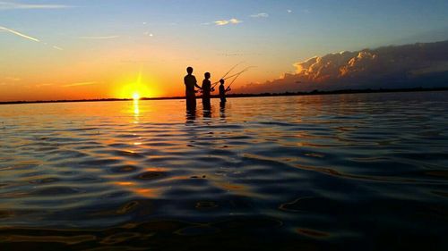 Silhouette of trees at sunset