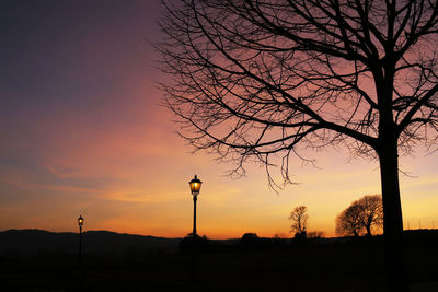 Silhouette bare tree by illuminated street light against sky during sunset