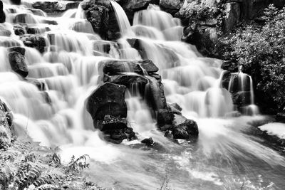 View of waterfall in forest