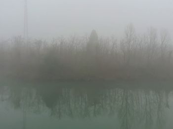 Reflection of trees in lake against sky