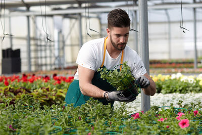 Young man working in greenhouse