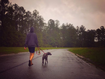 Rear view of man walking with dog on road