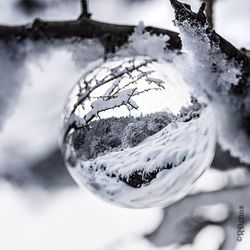 Close-up of frozen glass