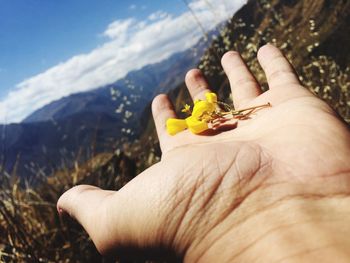 Cropped hand holding flower on mountain against sky