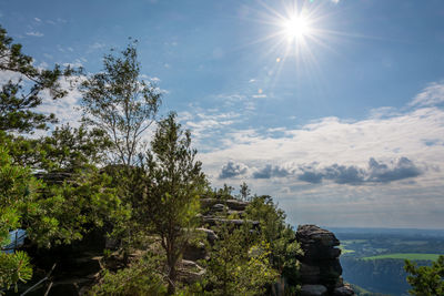 Scenic view of trees against sky on sunny day