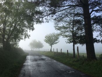 Empty road amidst trees against sky