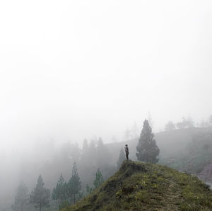 Trees on landscape against sky during foggy weather