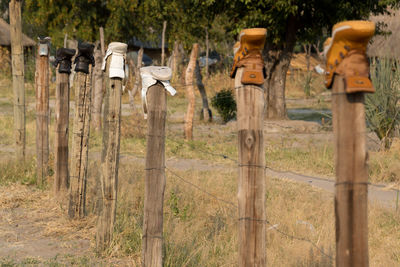 Wooden posts on field