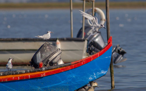 View of boat moored in sea