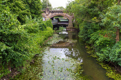 Bridge over canal amidst trees in garden